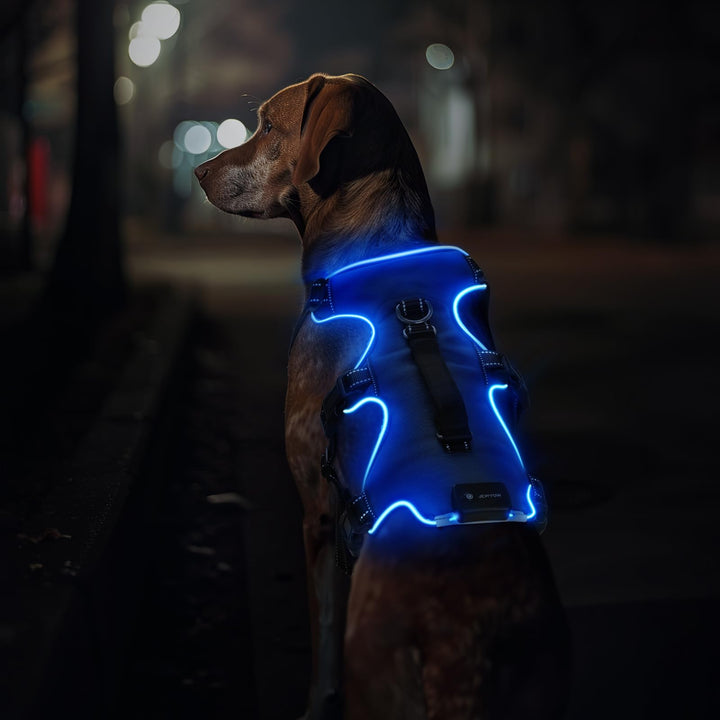 Jewyow Hundegeschirr Leuchtend, Wiederaufladbare LED Hundegeschirr, Led Geschirr für Hunde mit Weich