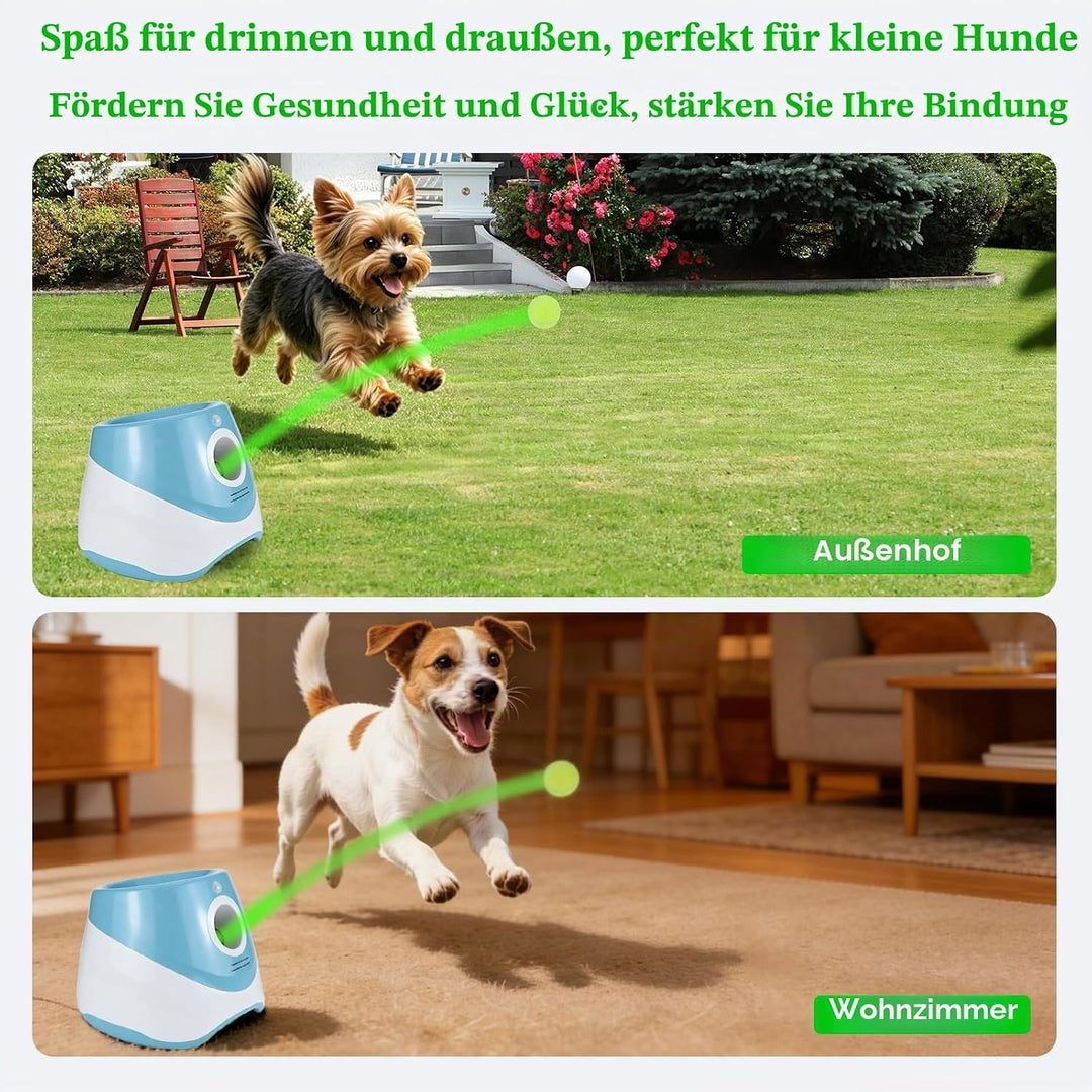 Automatischer Hunde-Ballwerfer für kleine Hunde drinnen draussen | Interaktives Spielzeug 15 Mini-Te