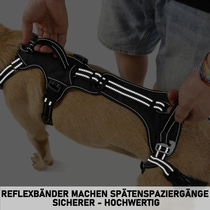 COODEO Hundefördergurt, Tragsack & Gehhilfe für Hunde, Hinterbein-Rehabilitationsweste, Transportgur