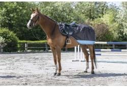 Equi-Theme Regen Nierendecke mit Polarfleecefutter 600D TYREX in 5 trendigen Farben marineblau/grau