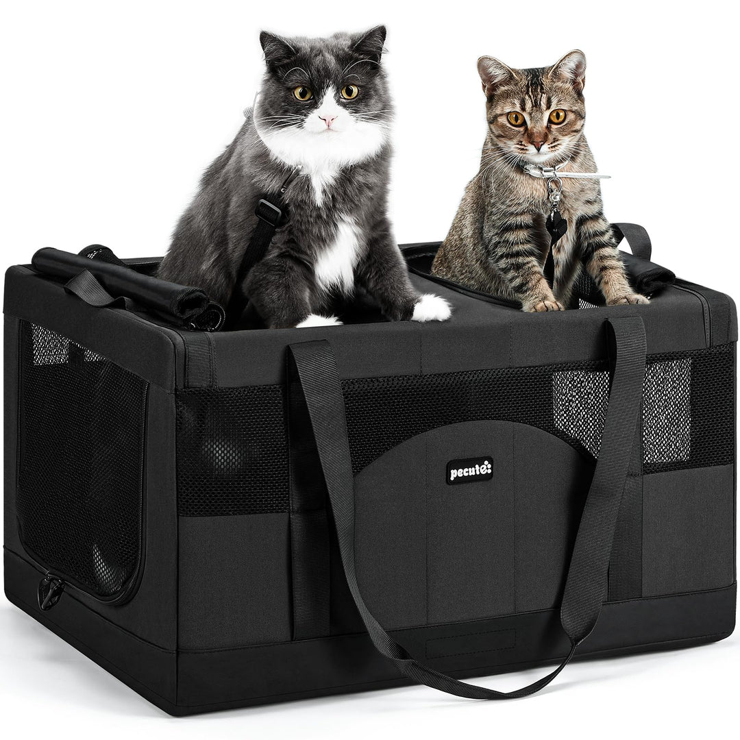Pecute Katzentransportbox Gross Faltbar Transporttasche 2 Katzen,Dunkelgrau | Abnehmbare Trennwand,