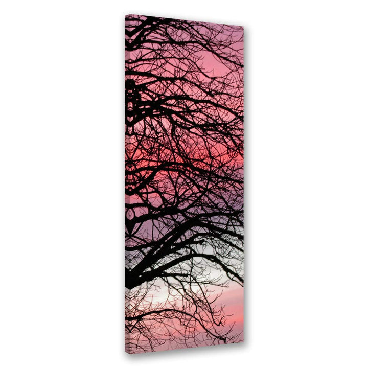 Feeby Leinwand Bilder - Natur - Wald - 40x100 cm- Deko Wohnzimmer - Wandbilder Schlafzimmer - Deko A