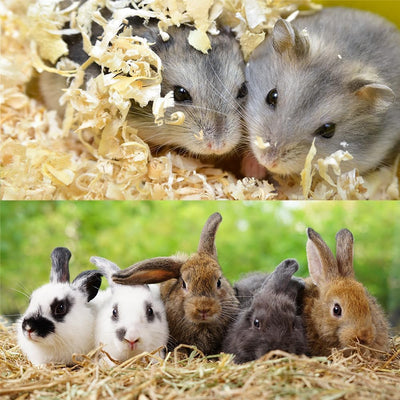Premium Tierstreu Kleintierstreu Tiereinstreu Einstreu Streu Holzspäne Sägespäne Hobelspäne | 20Kg =