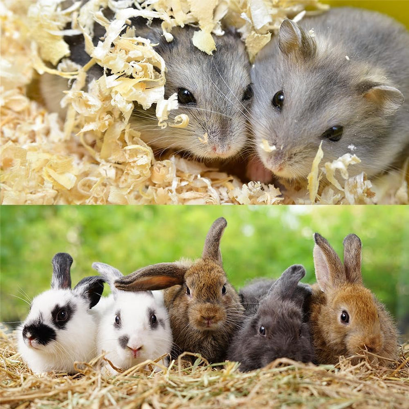 Premium Tierstreu Kleintierstreu Tiereinstreu Einstreu Streu Holzspäne Sägespäne Hobelspäne | 20Kg =