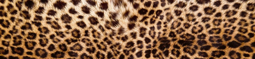 DIMEX Küchenrückwand Folie selbstklebend LEOPARDENFELL | Klebefolie - Dekofolie - Spritzschutz für K