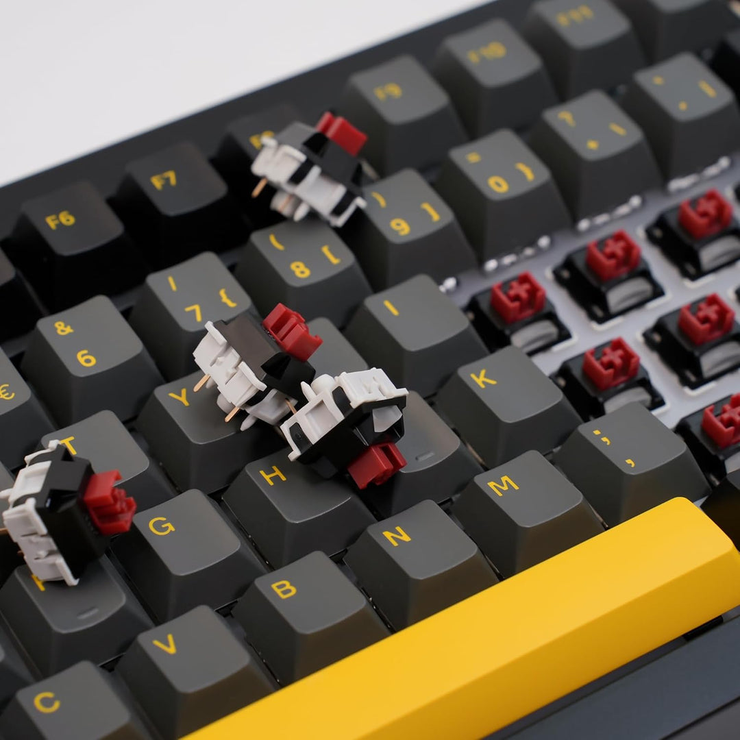 Akko Dracula Tastaturschalter mit Kondensator für hintergrundbeleuchtete mechanische Gaming-Tastatur