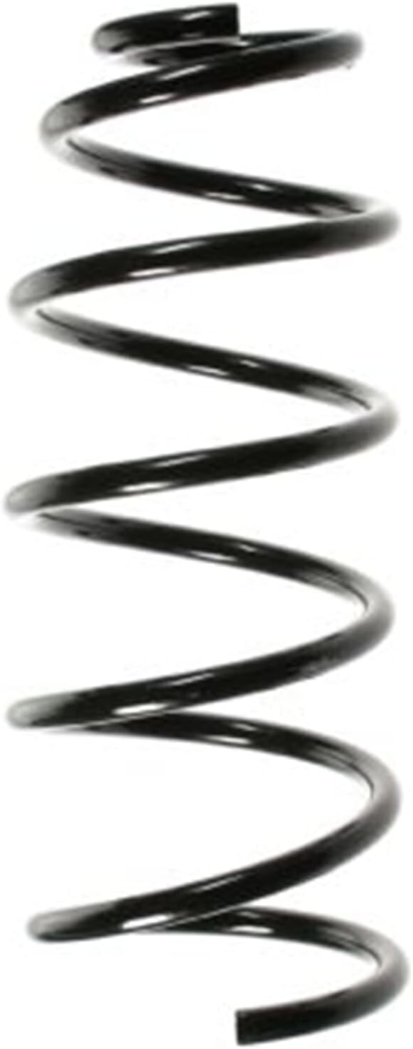 SPIDAN 49551 Fahrwerksfeder
