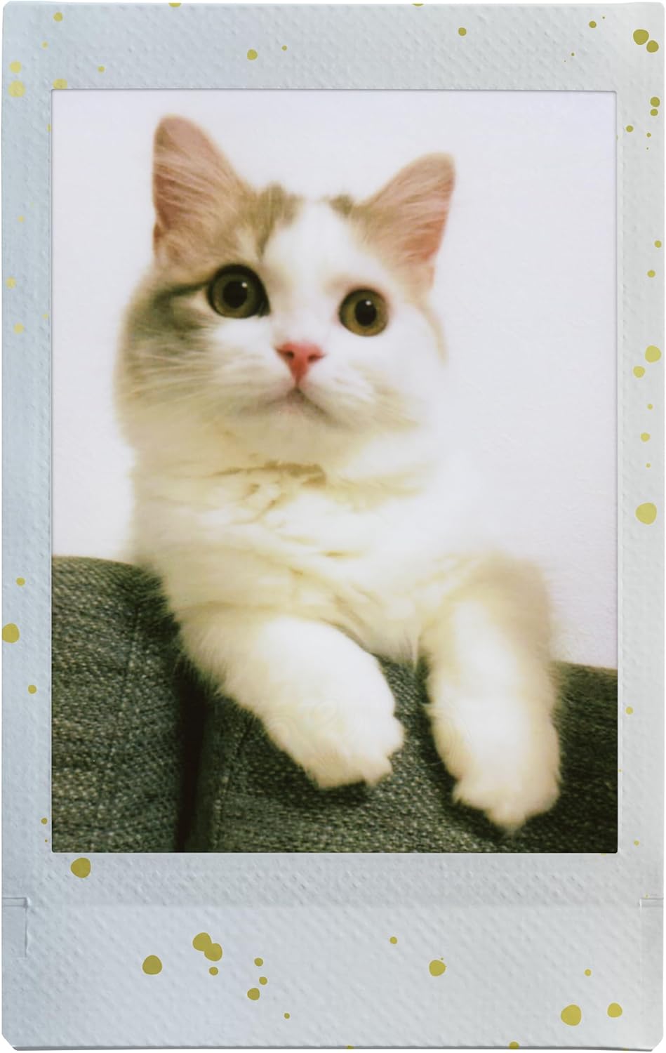Instax mini Film Soft Glitter (Packung mit 2) mini (Packung mit 2), mini (Packung mit 2)