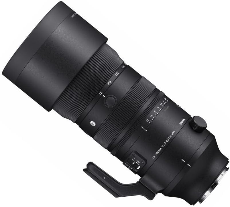 Sigma 70-200mm F2.8 DG DN OS für L-Mount, 591969
