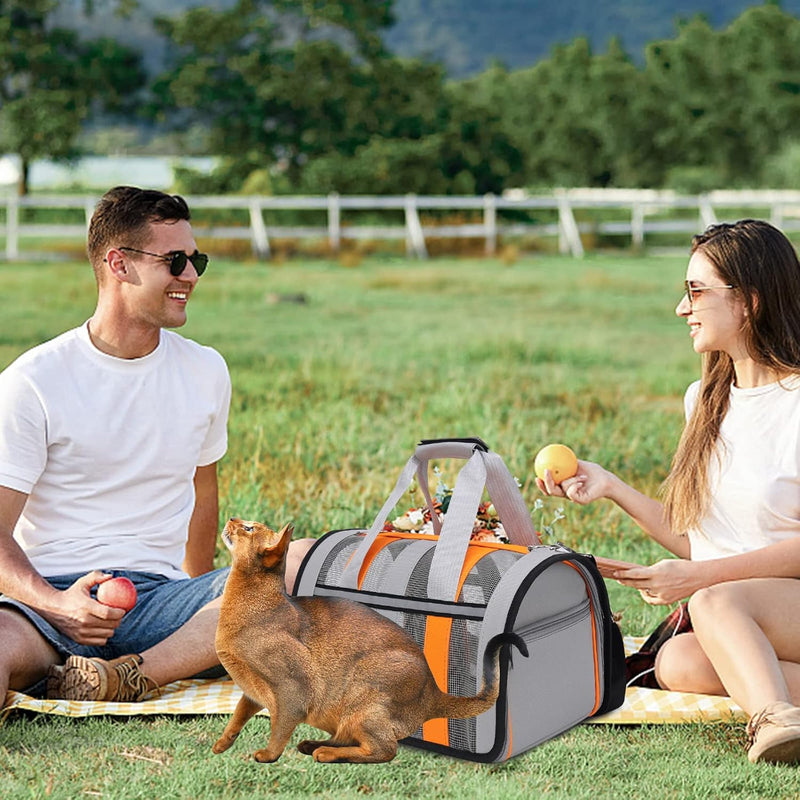 PETCUTE Transporttasche für Katze Hund,Hunde Transportboxen mit Reflektierenden Streifen,Faltbare Hu