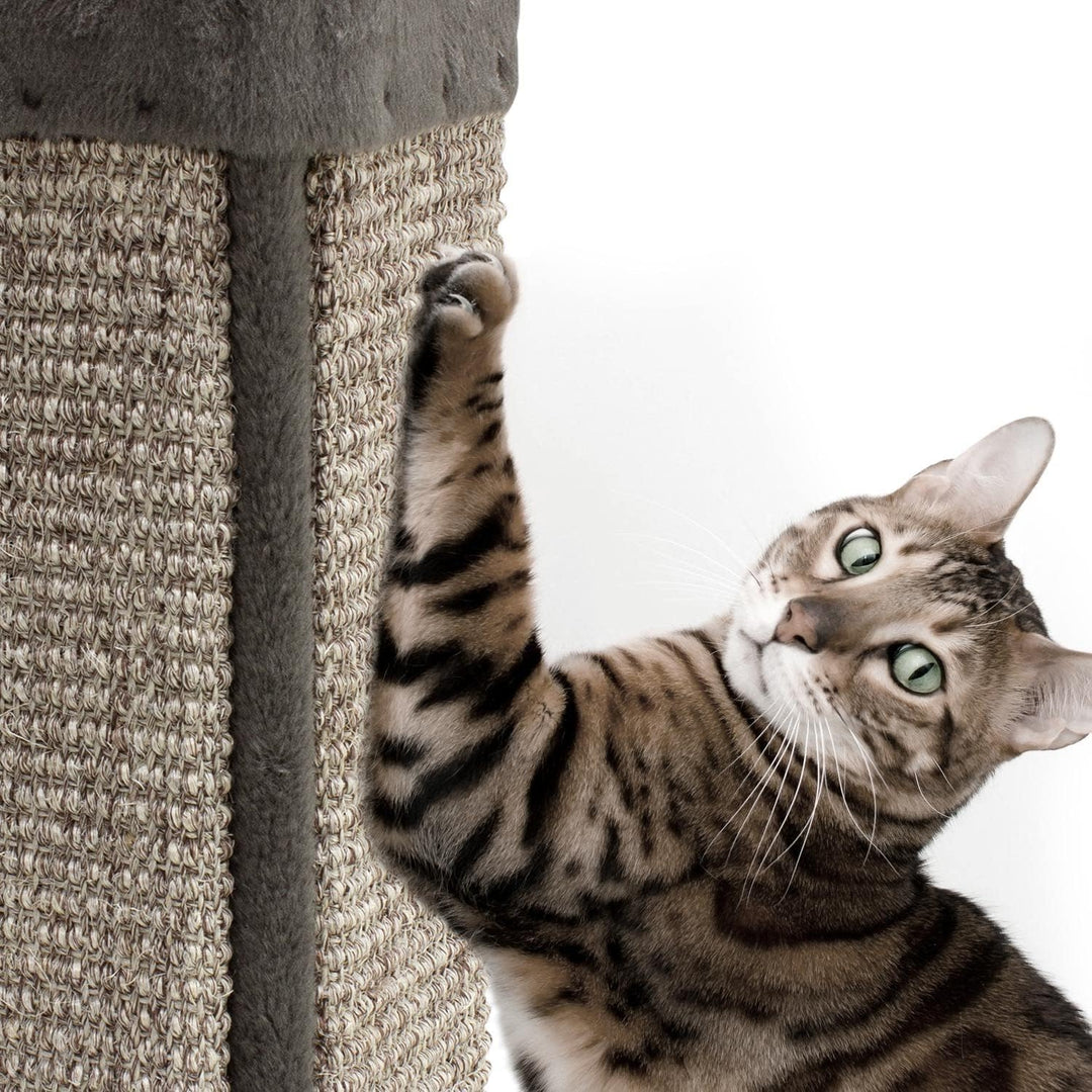 Arquivet Eckkratzer Grau für Katzen - 12 x 12 x 49 cm - grosse Eckkratzer - vertikale Kratzer für Ka