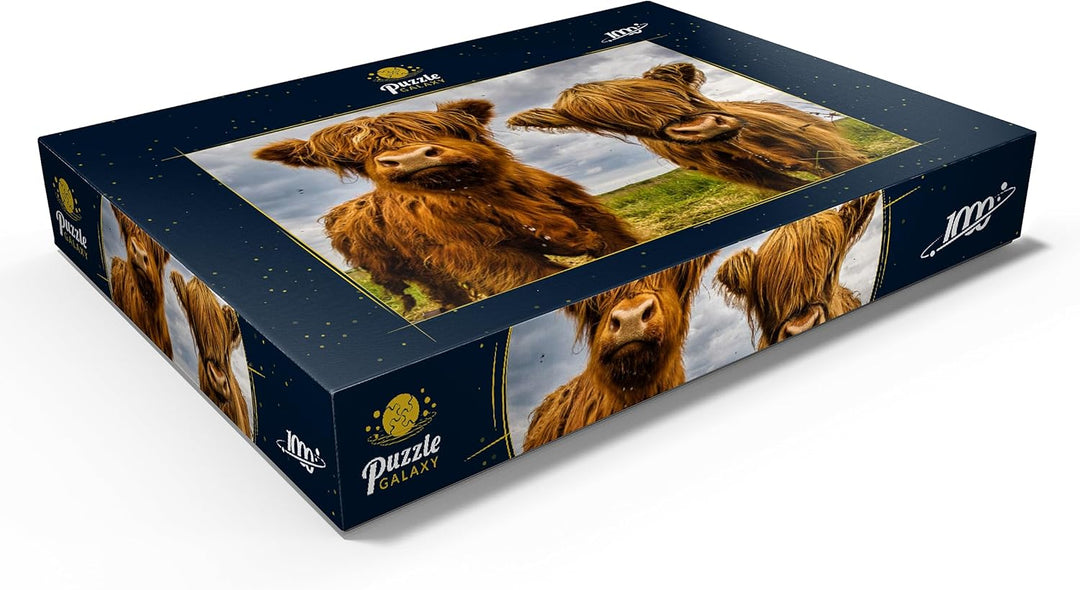 Zwei süsse Hochlandkühe - Premium 1000 Teile Puzzle - MyPuzzle Sonderkollektion von Puzzle Galaxy, 1