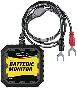 Lescars Batteriewächter 12V: Kfz-Batterietester und -Wächter für 12 Volt, mit Bluetooth & App, IP65