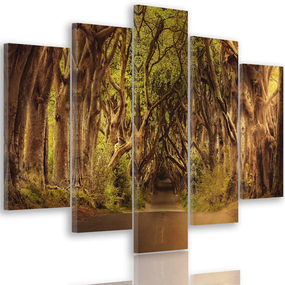 Feeby Leinwandbild Weg 5 TLG Bild Kunstdruck Bäume Landschaft Wald bunt 100x70 cm Leinwandbild 100x7