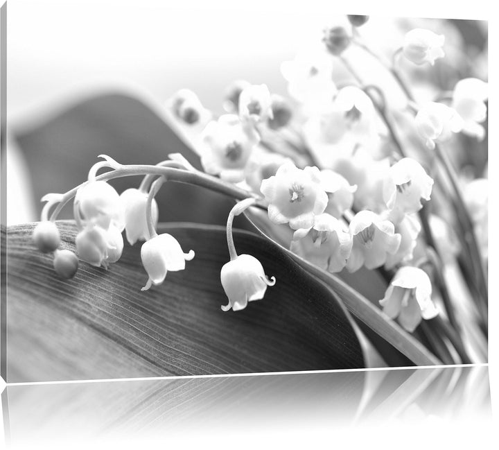 Pixxprint Maiglöckchen Ostern Kunst B&W, Format: 100x70 auf Leinwand, 100x70