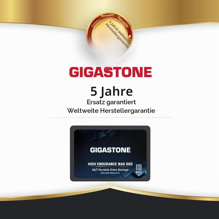 Gigastone NAS SSD 4TB SSD Festplatte Hohe Dauerhaltbarkeit SSD für 24/7 Dauerbetrieb NAS-Systeme RAI