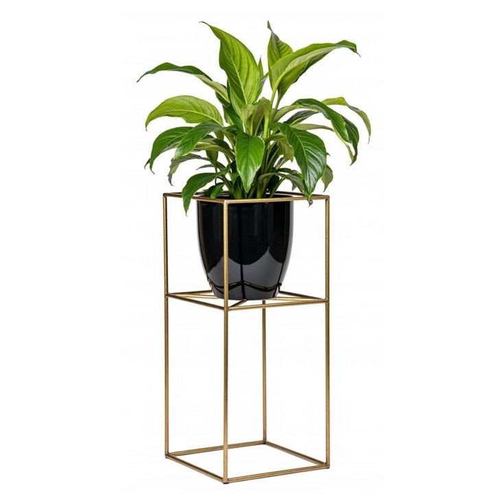 Pflanzenständer Filo - 24x24x40cm - Farbe Gold - für Zimmerblumen - Metallregal - Dekorativer Tisch