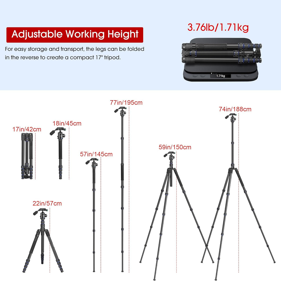 Stativ Kamera Manbily 188cm 74" Dreibein stative Leichtes Kompaktstativ 360° Kugelkopf mit Griff für