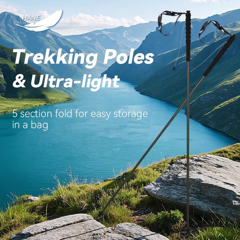 KEALING Trekkingstöcke aus Carbonfaser, 2 Klappstöcke, 5 Abschnitte, ultraleicht, Trekking und Bergs