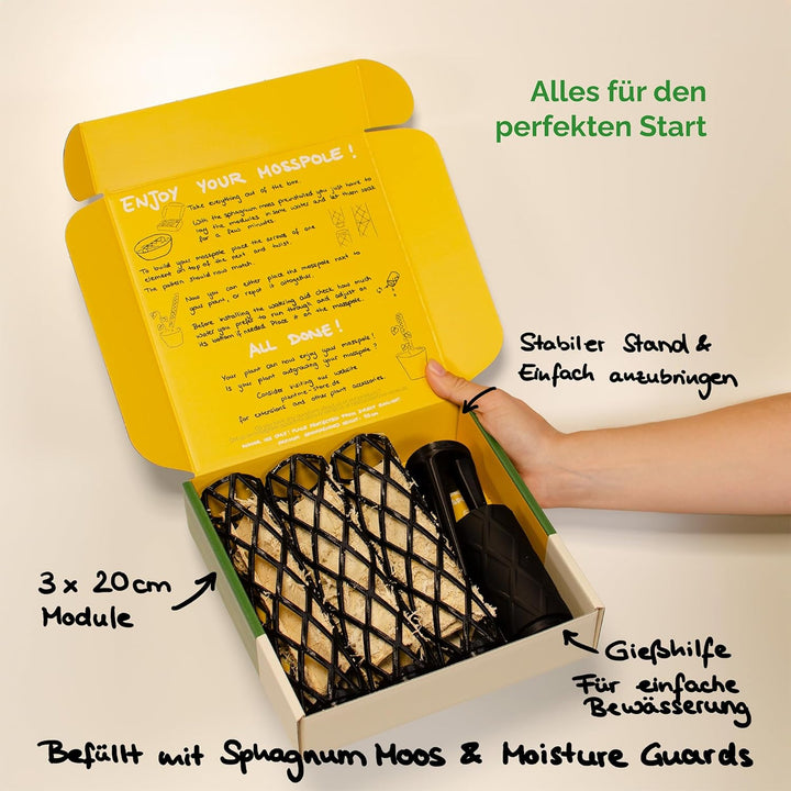 PlantMe Moosstab Midi 70cm Komplettset (Grün-Grau, 70cm)