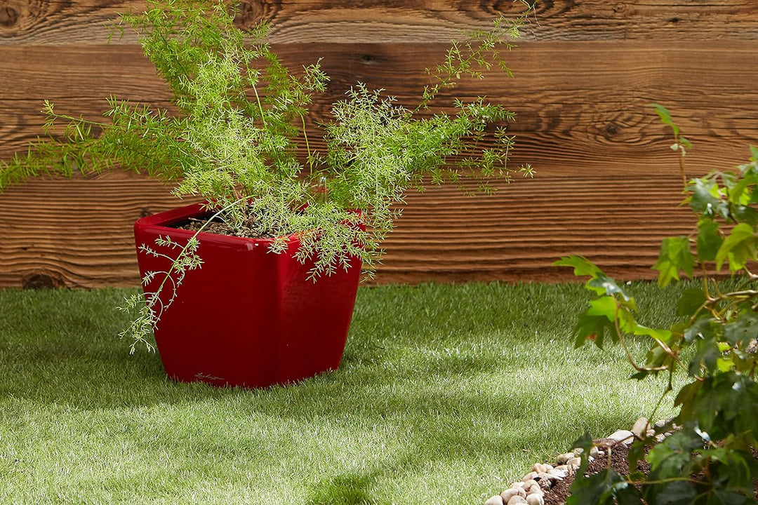 LECHUZA QUADRO Premium LS 21 scarlet rot hochglanz 16127 21x21x20 cm Scarlet Rot Hochglanz, 21x21x20