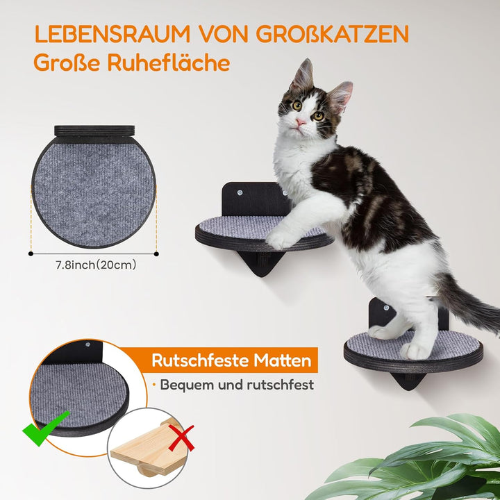 Kletterwand Katzen mit Katzenbett und 3X Katzentreppe Wand [Birkenholz] I Kratzbaum Wand I Hängematt