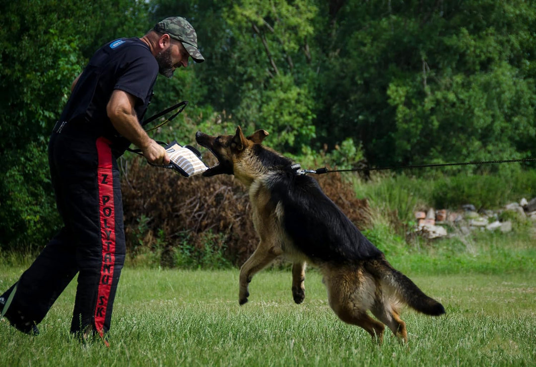 Dingo Gear Beisskissen aus Jute Keilform Medium Extra Ausbildung IGP IPO K9 Hundetraining S00519 Jut