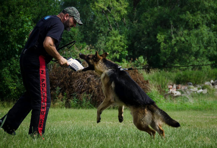 Dingo Gear Beisskissen aus Jute Keilform Medium Extra Ausbildung IGP IPO K9 Hundetraining S00519 Jut