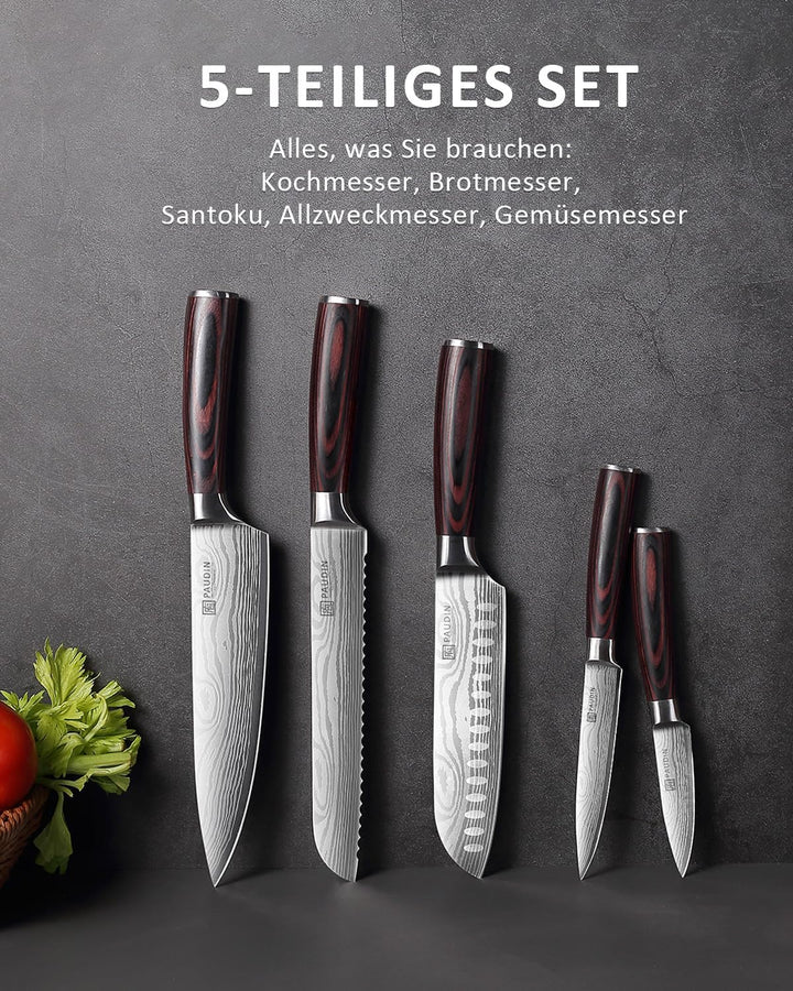 PAUDIN Küchenmesser Set, 5-teilig Küchenmesserset aus hochwertigem Carbon Edelstahl, Ultra Scharfes
