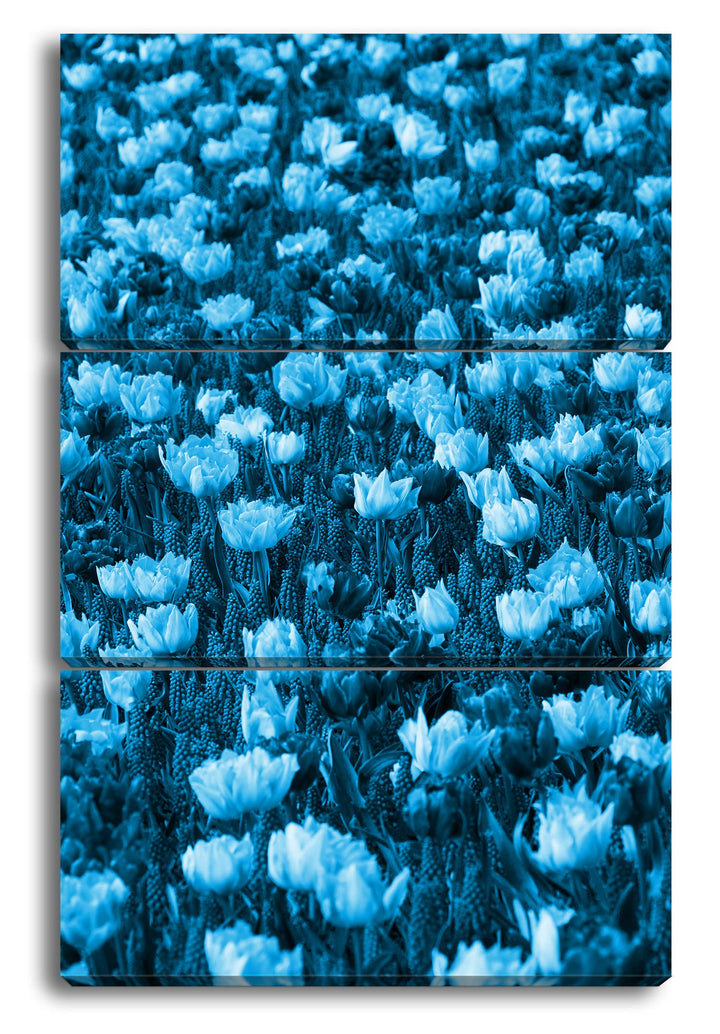 buntes Blumenfeld Effekt: Zeichnung Format: 3-teilig 120x80, Motiv fertig gerahmt auf Echtholzrahmen