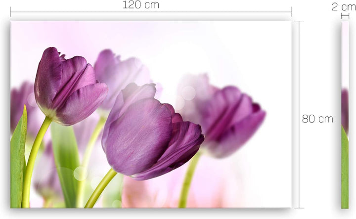 ge Bildet Bild auf Leinwand | Tulpe - Blumen Violett Natur E in 120x80 cm als Wandbild XXL | Wand-de