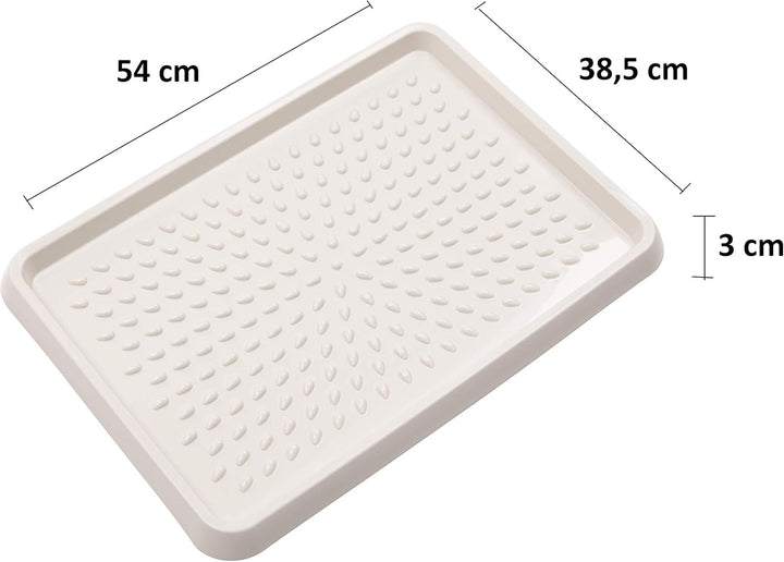 BranQ - Home essential BranQ Schuhablage aus Kunststoff, PP, Creme, 2-pcs, 5901098048408, 2-pcs. Cre