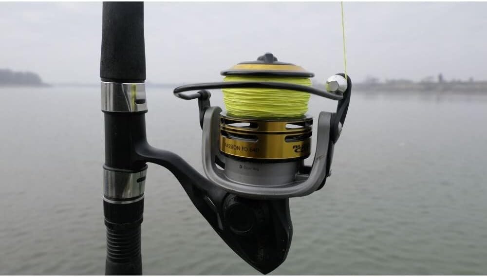 Black Cat Passion Pro FD Frontbremsrolle, Standart, One Size