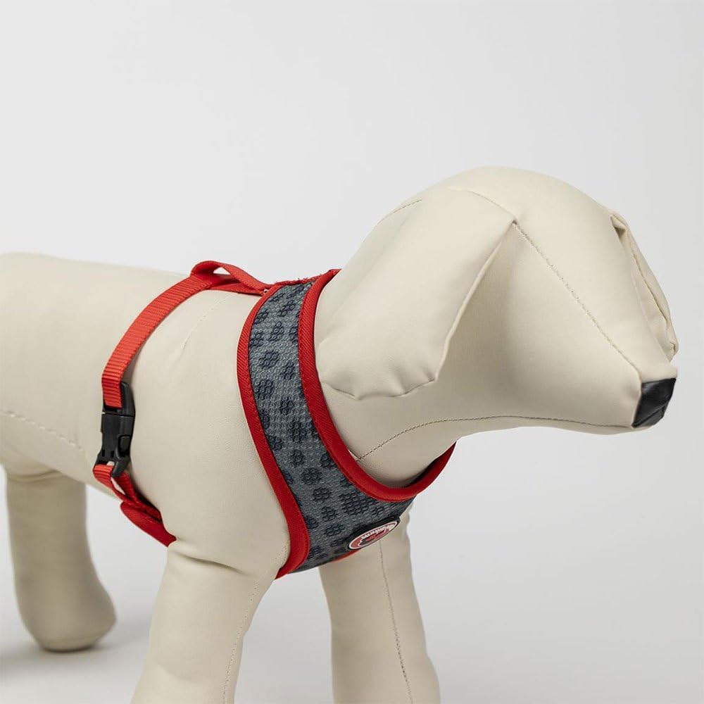 Premium-Hundegeschirr von Minnie Mouse, Grösse XXS/XS, Grau und Rot, verstellbares Hundegeschirr, 10