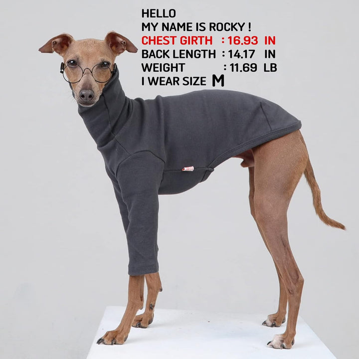 D Doggy Star Italienische Windhunde, flexible T-Shirts für Hunde, Grösse S, Dunkelgrau, Dunkelgrau S