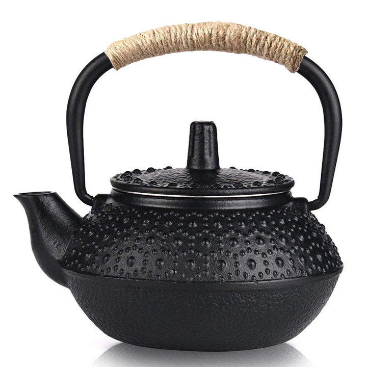 Webao Teekanne aus Gusseisen Traditionelle Eisen-Kanne Tea for ONE Teekanne Japanischer Stil inkl 30