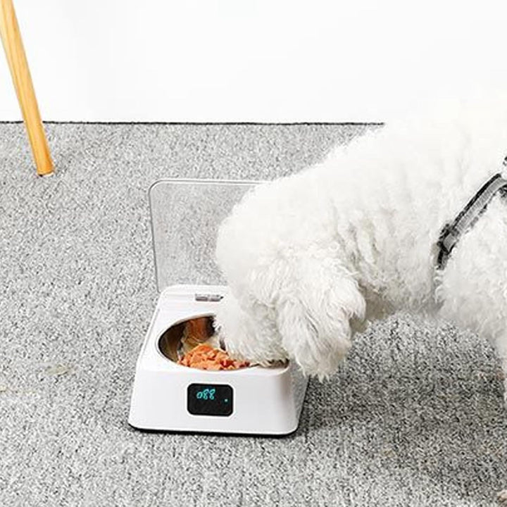 ciciglow Katzenfutterautomat mit Automatisch Öffnendem Deckel, Infrarotsensor, 2000 MAh, Abnehmbarer