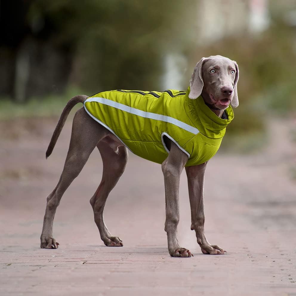 Idepet Wasserdichter Hundemantel Winter Warme Jacke, Winddichte Haustierkleidung Hundejacke Outfit f