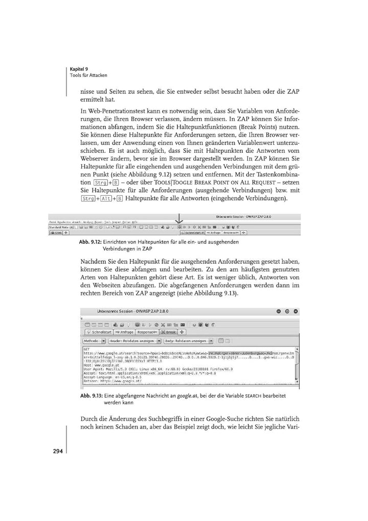 Einstieg in Kali Linux: Penetration Testing und Ethical Hacking mit Linux (mitp Professional), Tasch