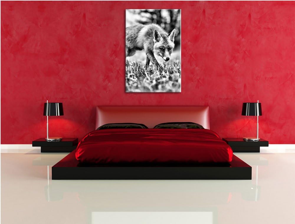 Monocrome, Schöner Fuchs , Format: 100x70 auf Leinwand, XXL riesige Bilder fertig gerahmt mit Keilra