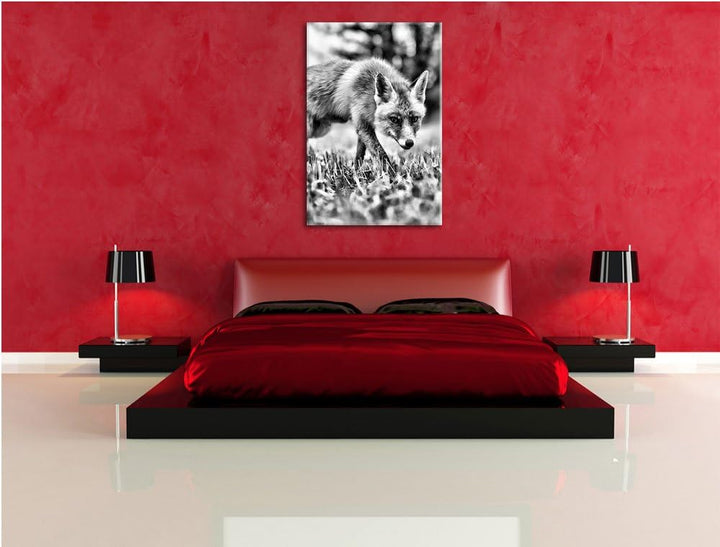 Monocrome, Schöner Fuchs , Format: 100x70 auf Leinwand, XXL riesige Bilder fertig gerahmt mit Keilra