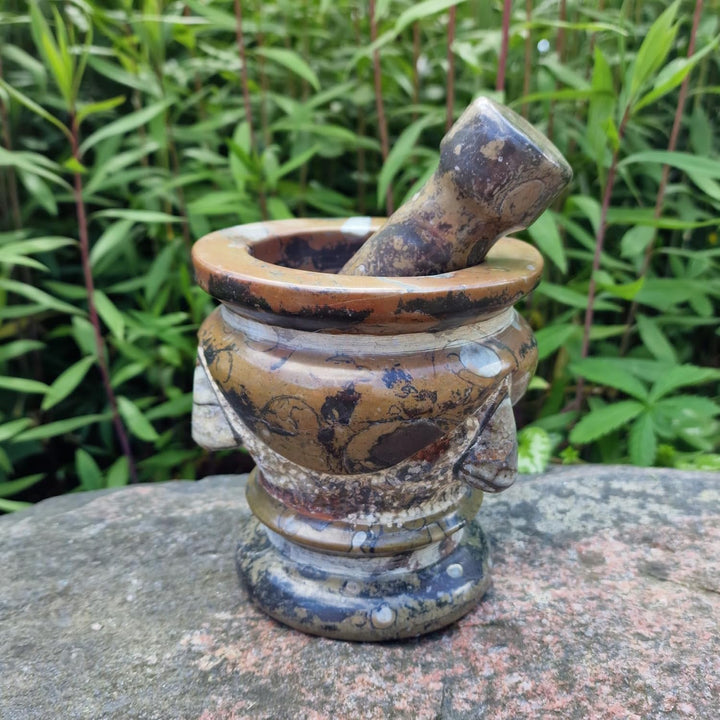 Budawi® Orthoceras Gewürz Mörser mit Stössel – Handgefertigter Küchenmörser aus Naturstein – Fossile