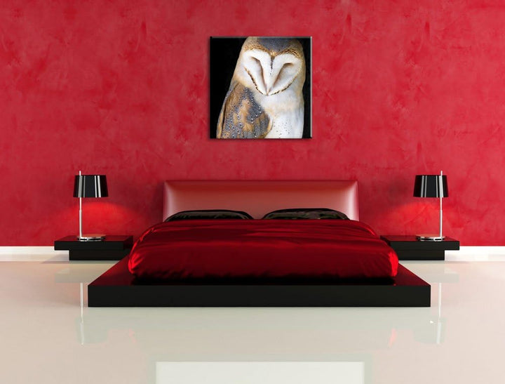 Schleiereule Schwarz/Weiss, Format: 70x70 auf Leinwand, XXL riesige Bilder fertig gerahmt mit Keilra