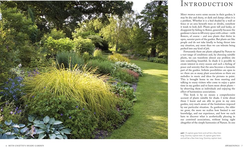 Pimpernel Press Beth Chatto's Shade Garden: Shade-Loving Plants for Year-Round Interest