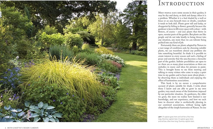 Pimpernel Press Beth Chatto's Shade Garden: Shade-Loving Plants for Year-Round Interest