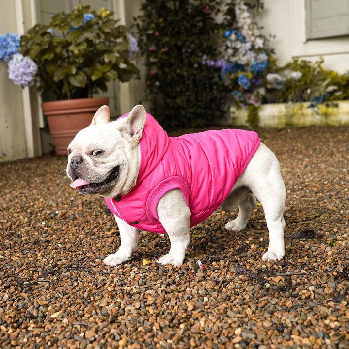 Hunde-Kapuzenpullover mit Fleece-Futter, extra warm, Grösse S, Rosa, Small (Pack of 1) rose