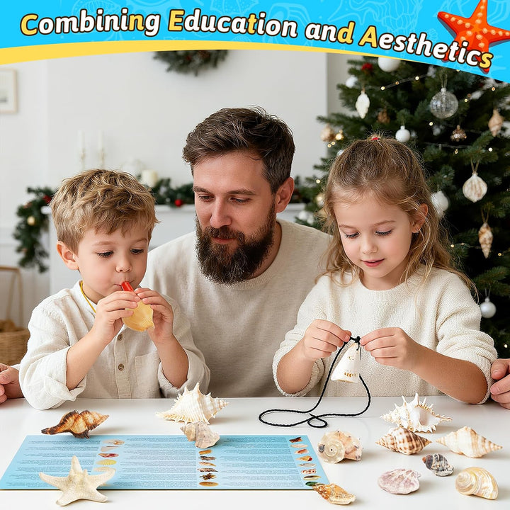 Adventskalender 2025 Kinder, 24 Tage Weihnachts-Adventskalender Countdown, Muscheln Adventskalenders