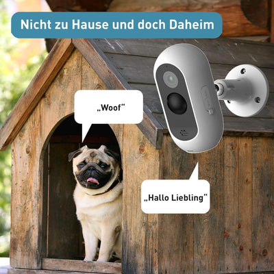 PetTec® Cam Free 2er Set - Wireless Haustierkamera Hundekamera mit App [OHNE ABO-Falle] - Katzen & H
