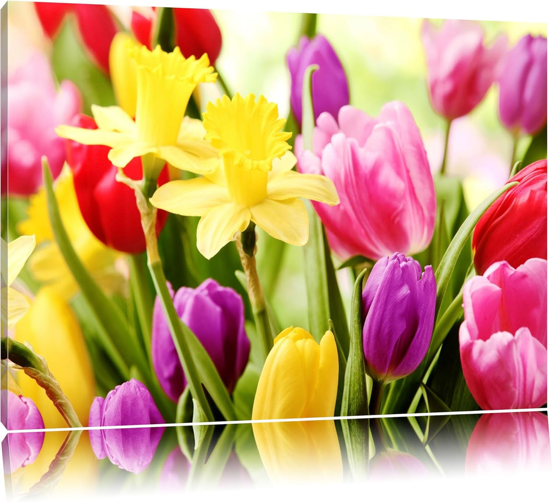 Farbenfrohe Osterglocken und Tulpen Format: 100x70 auf Leinwand, XXL riesige Bilder fertig gerahmt m