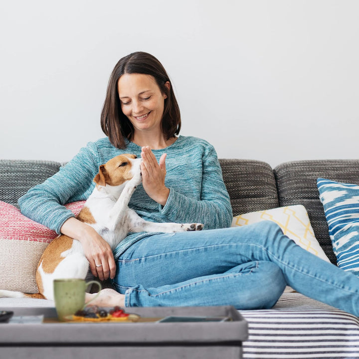 Relaxdays Sitzbank mit Stauraum, Polster, Samtbezug, Holzfüsse, bis 120 kg, faltbar, Sitztruhe HBT 3